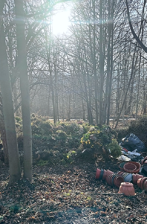 foto:  Kolejne dzikie wysypisko zlokalizowane